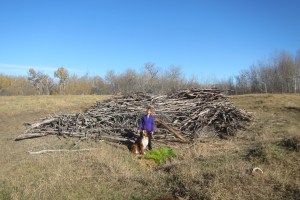 ???????????????????????????????