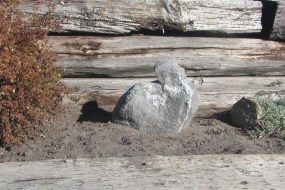 ???????????????????????????????