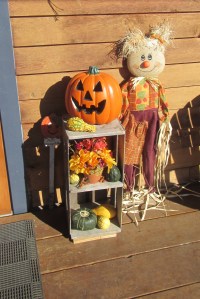 ???????????????????????????????