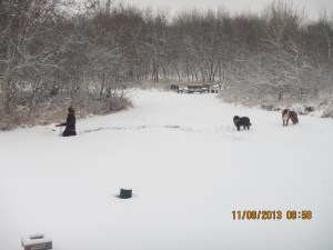 Snowman construction