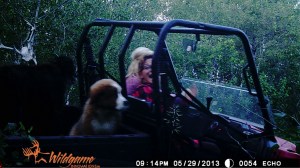 trail camera side by side