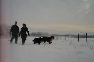 Trail cam pic cropped